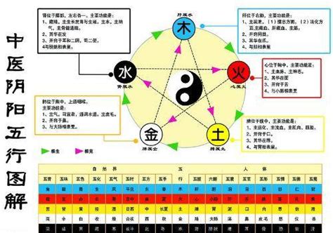 金生水個性|金生水（五行对应关系）